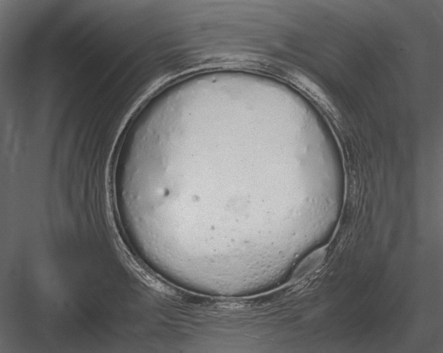 X0000083001283200702230117