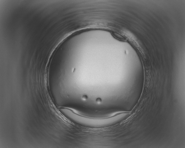 X0000083001284200702230117