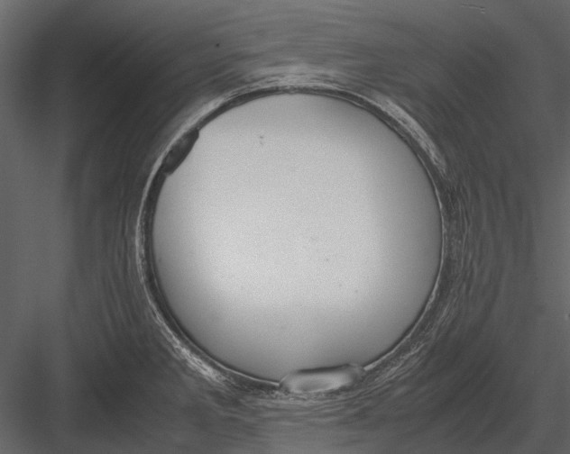 X0000083001285200702230117