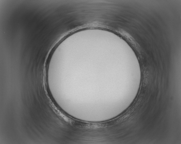 X0000083001286200702230117