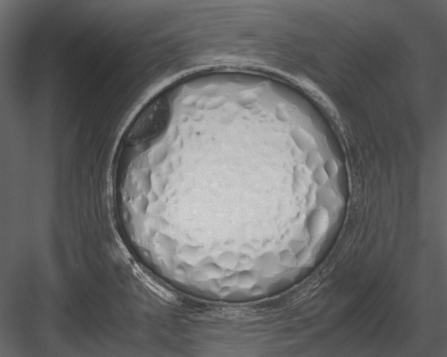 X0000083001287200702230117