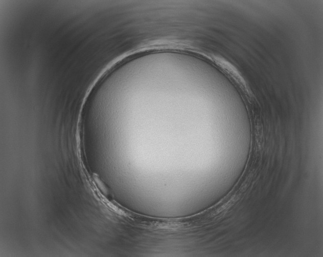 X0000083001288200702230117