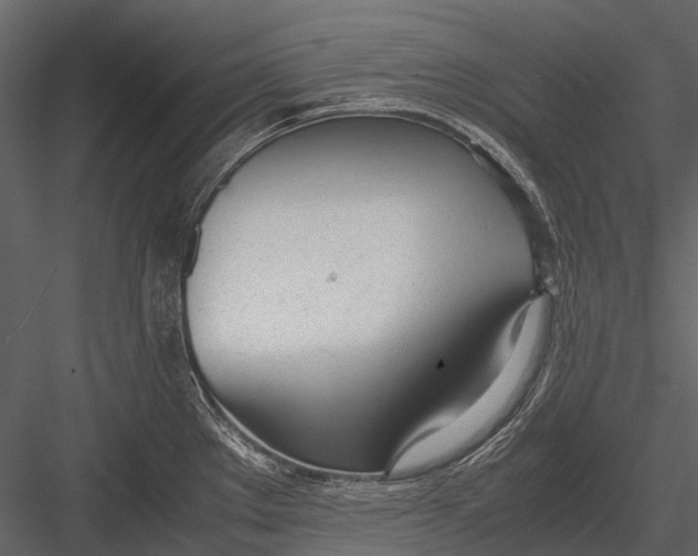 X0000083001289200702230117