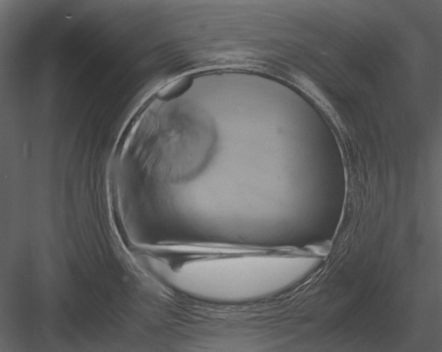 X0000083001291200702230117