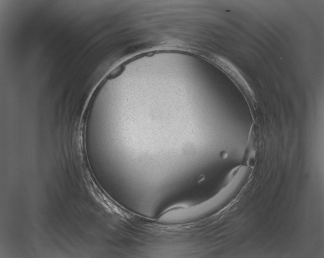 X0000083001292200702230117