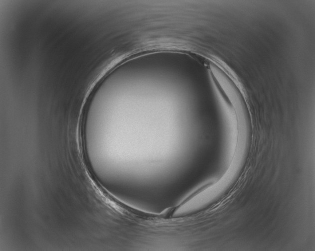 X0000083001293200702230117