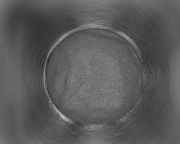 X0000083001294200702230117