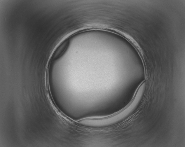 X0000083001295200702230117