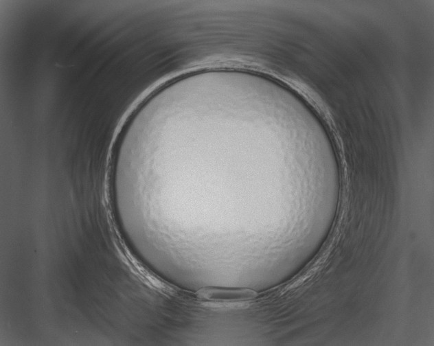 X0000083001296200702230117