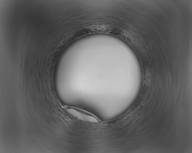 X0000083001297200702230116