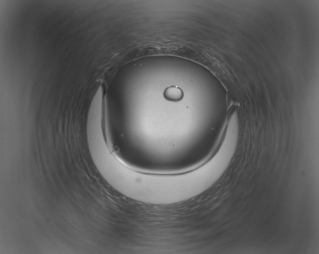 X0000083001298200702230116