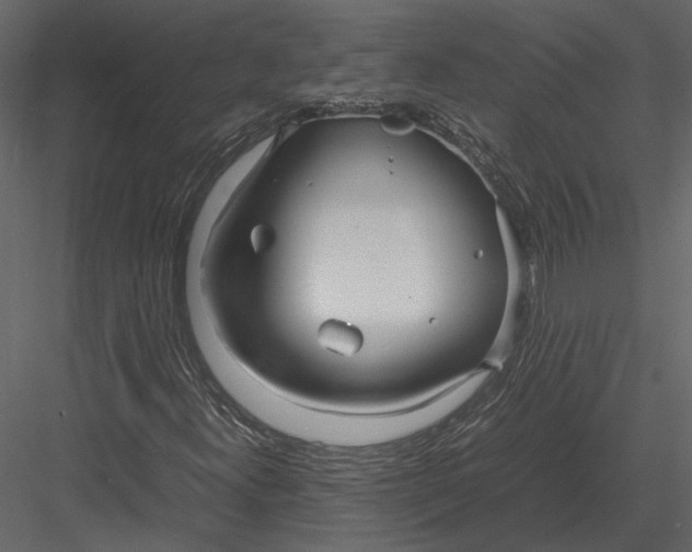 X0000083001300200702230116