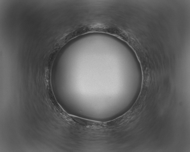 X0000083001301200702230116