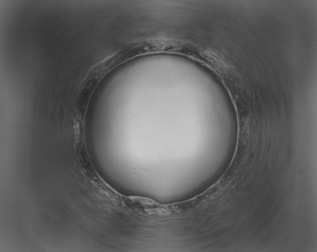 X0000083001302200702230116