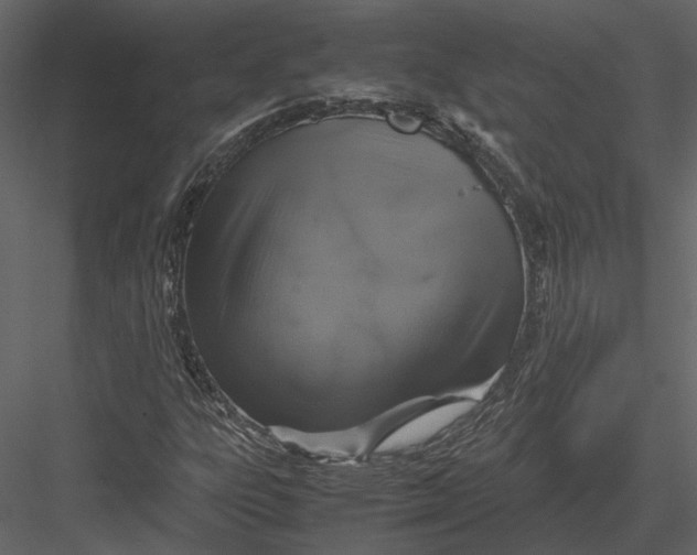 X0000083001303200702230116