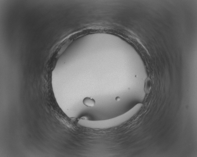 X0000083001304200702230116