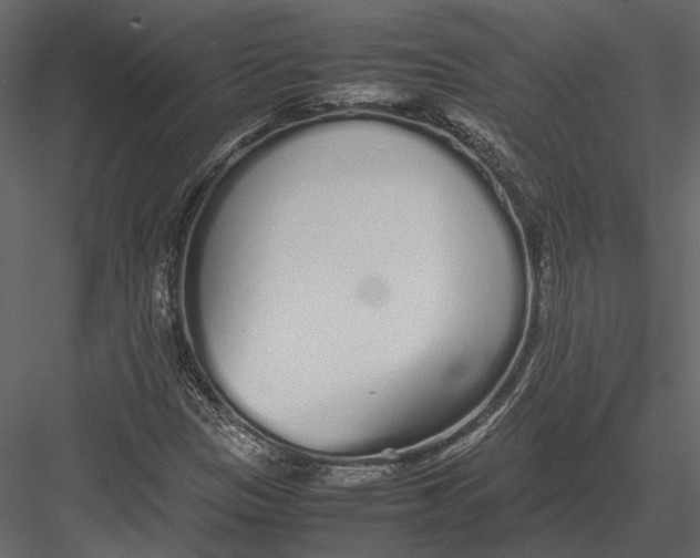 X0000083001305200702230116