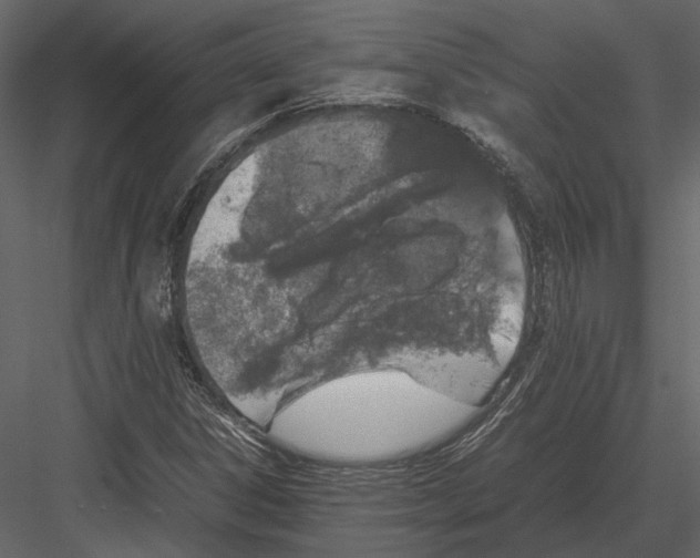 X0000083001306200702230116