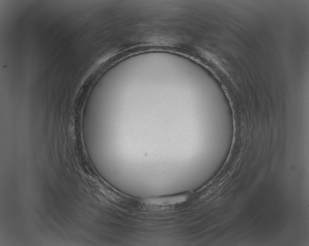 X0000083001307200702230116