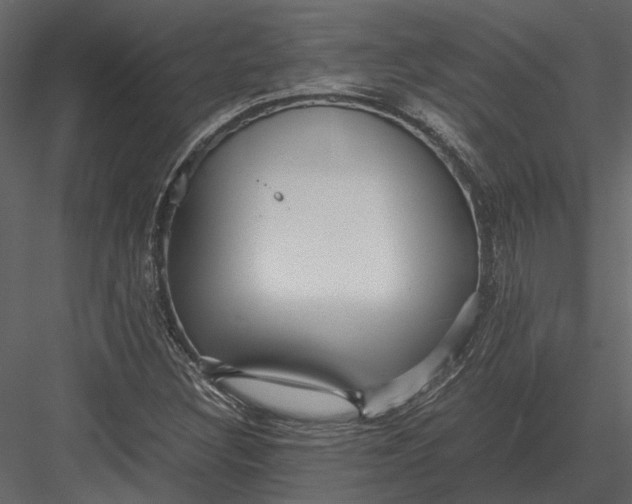 X0000083001308200702230116