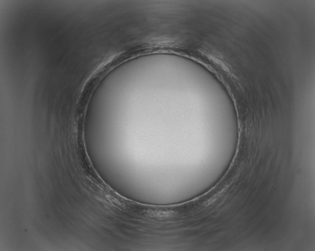 X0000083001309200702230116