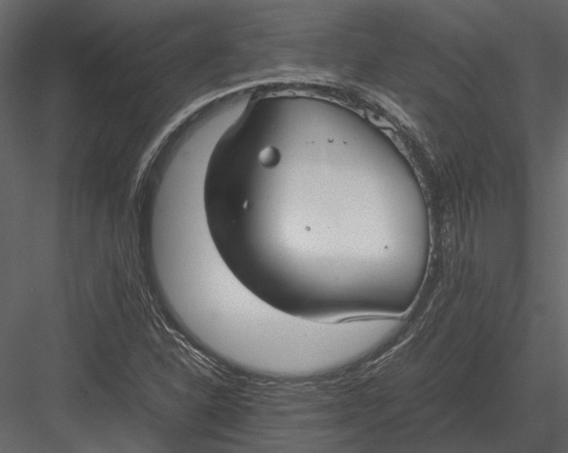 X0000083001310200702230116