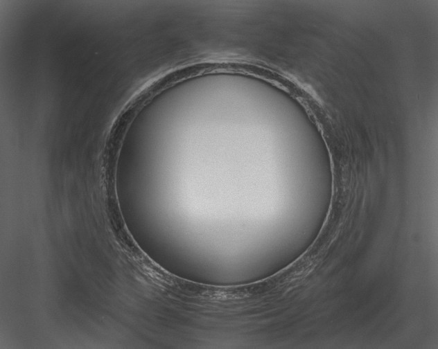 X0000083001311200702230116