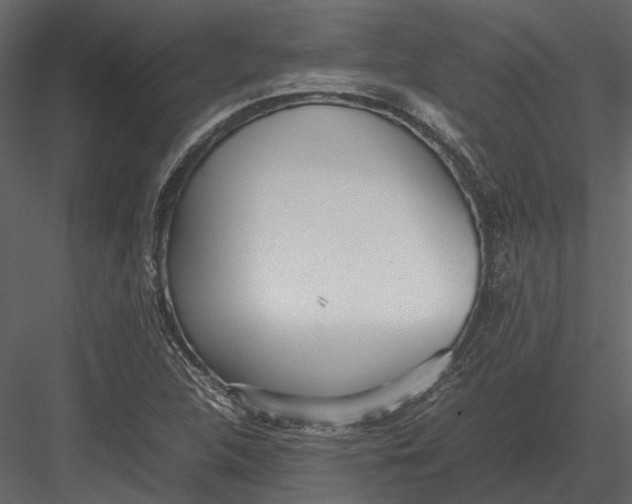 X0000083001312200702230116