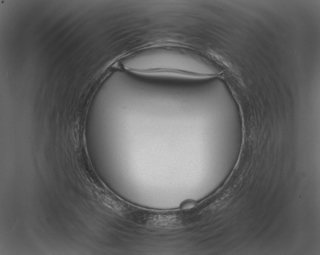 X0000083001313200702230116