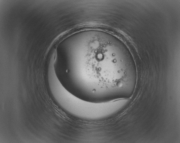 X0000083001314200702230116