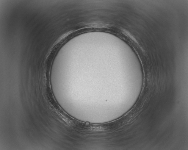 X0000083001315200702230116