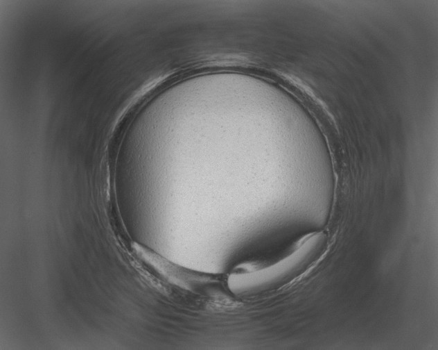 X0000083001317200702230116