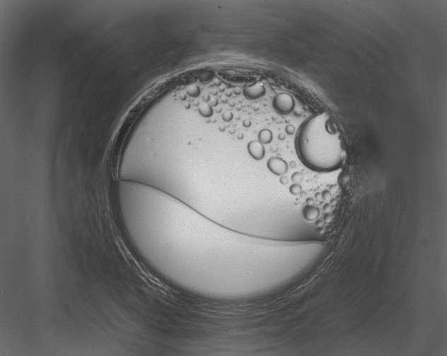 X0000083001318200702230116