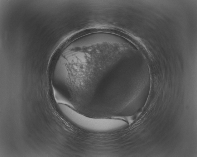 X0000083001319200702230116