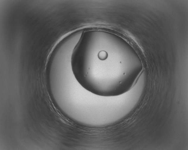 X0000083001320200702230116