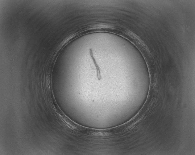 X0000083001321200702230116