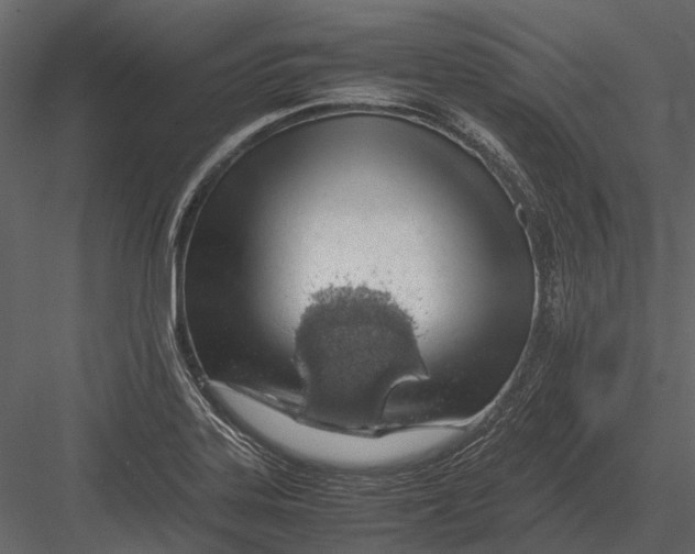 X0000083001323200702230116