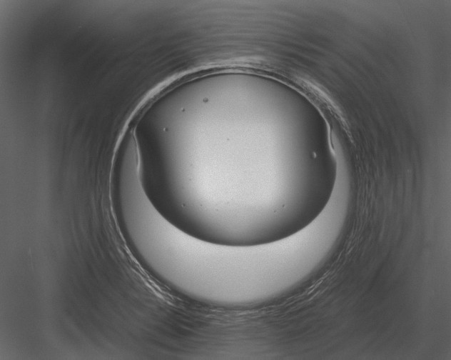 X0000083001324200702230116