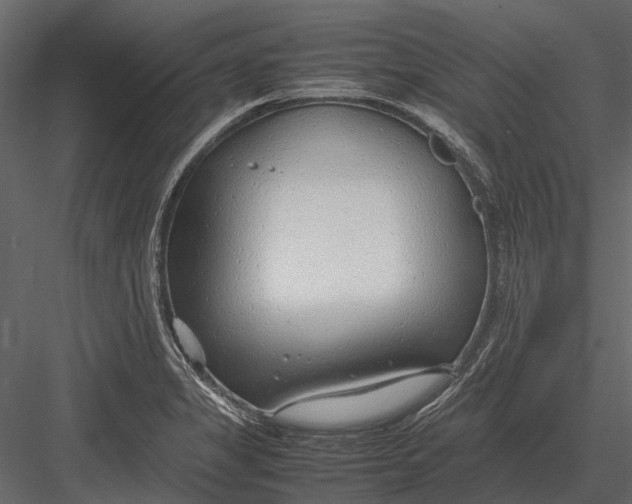 X0000083001325200702230116