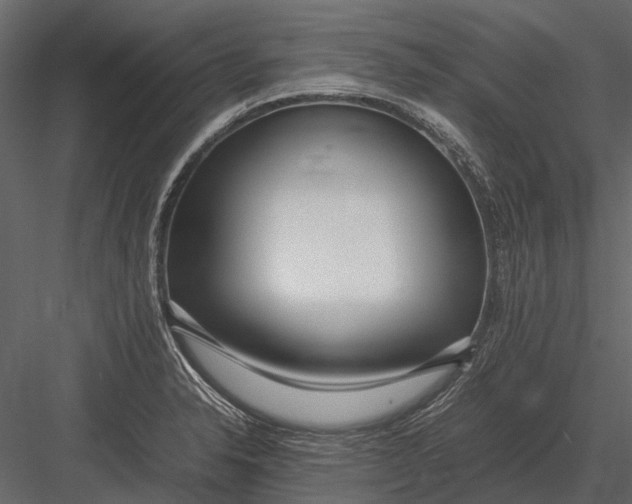 X0000083001326200702230116