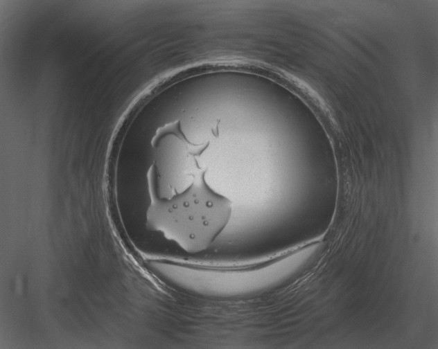 X0000083001327200702230116