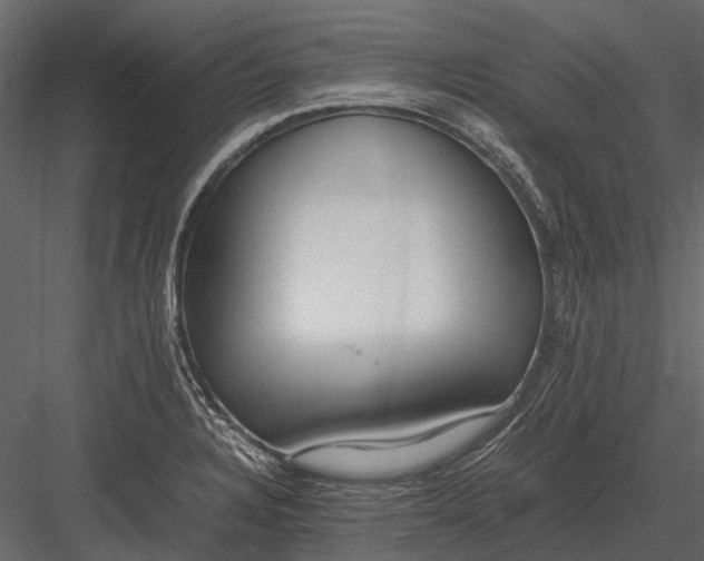 X0000083001328200702230116