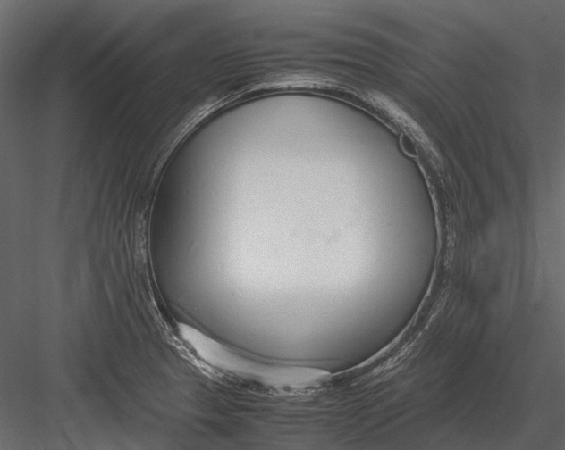 X0000083001329200702230116