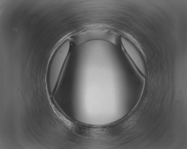 X0000083001330200702230116