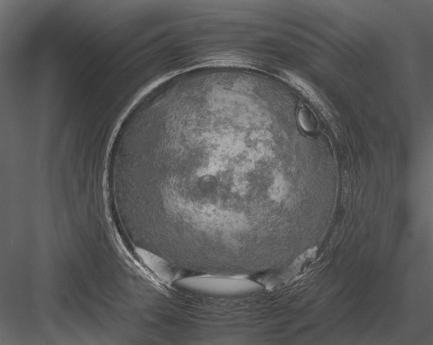 X0000083001331200702230116