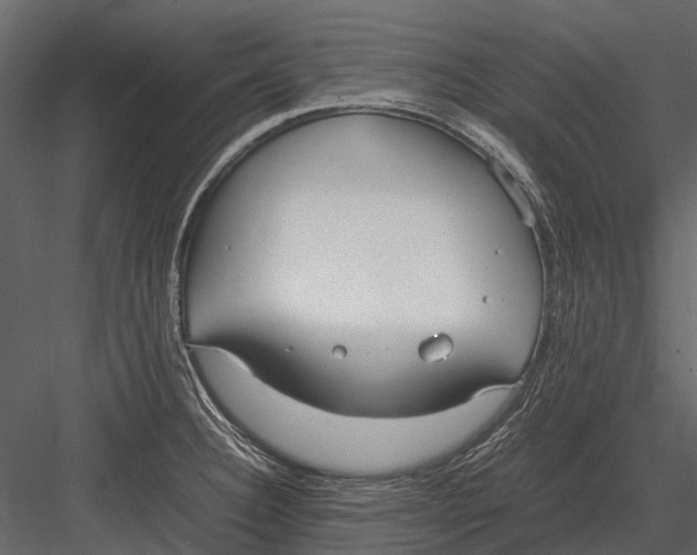 X0000083001332200702230116