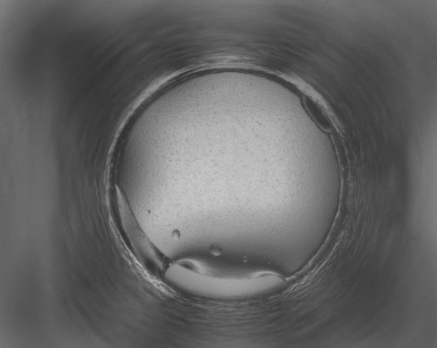 X0000083001333200702230116