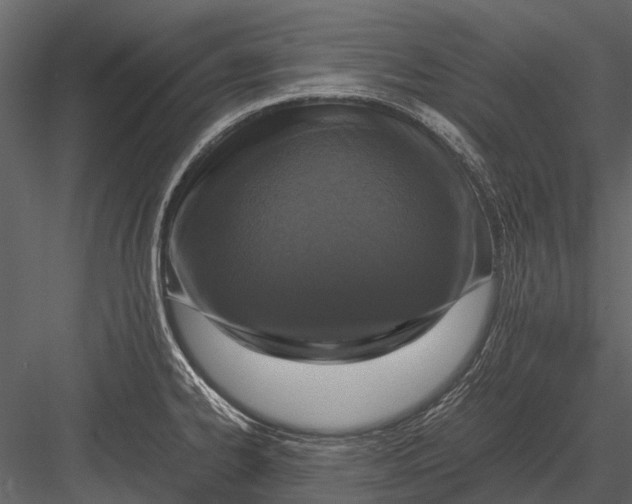 X0000083001334200702230116