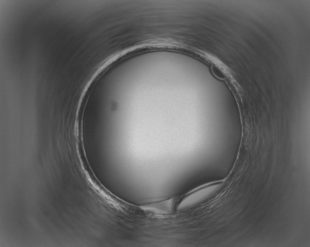 X0000083001335200702230116