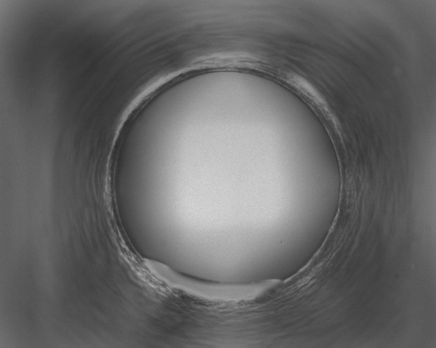 X0000083001336200702230116